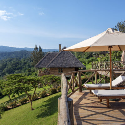 Ngorongoro -neptune