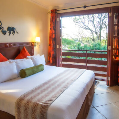 room african tulip