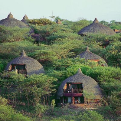 serengeti serena safari lodge
