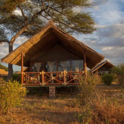 tarangire-simba-lodge